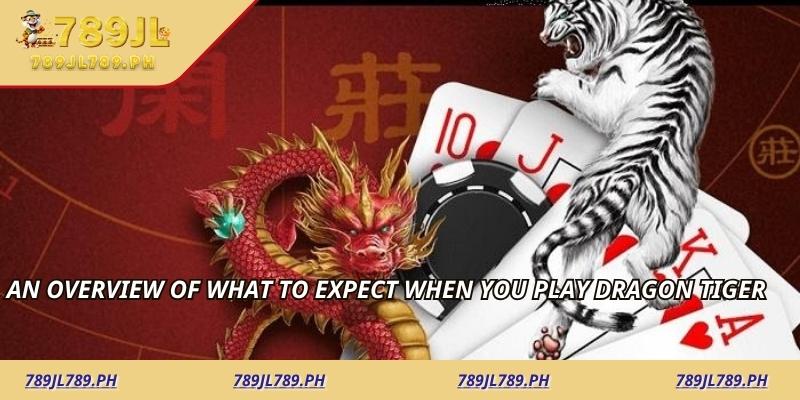 An overview of what to expect when you play Dragon Tiger