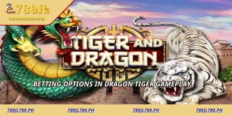 Betting options in Dragon Tiger gameplay