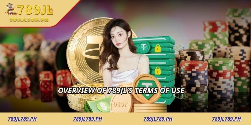 Overview of 789JL’s Terms of Use